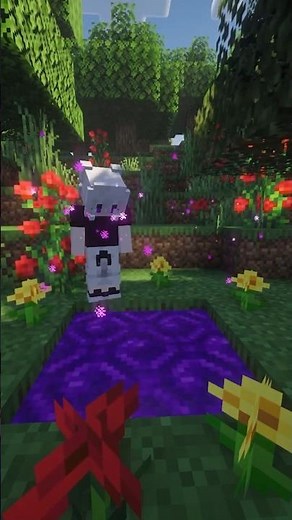THE NEW DIMENSIONS OF MINECRAFT
