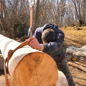 207K views · 1.6K reactions | Building Off Grid Log Cabin Ep 12 First Saddle Notches #survival #adventure #wilderness #camping #bushcraftcamping​ #logcabin #cabin | Adventures Bushcraft | Facebook