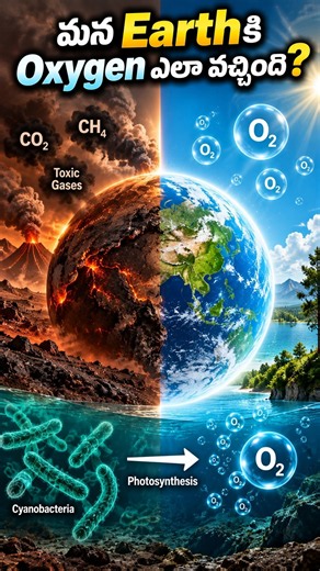 How Did Oxygen First Appear on Earth? || Inside Truths