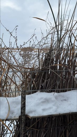 169K views · 2.4K reactions | DIRTY! #motionducks #duckhunting | Motion Ducks | Facebook