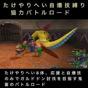 大和魂を持ったたけやりへい達のバトルロード #ドラクエ10 #ドラゴンクエスト #バトルロード