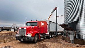 How Farms Work -- Hannah and I haul 7 loads to Viterra in Dubuque!
