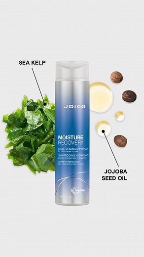 When your hair’s feeling dry and desperate for moisture, Joico Moisture Recovery Shampoo comes to the rescue—drenching every strand in hydration and bringing back that bounce, shine, and smoothness you love! 💦✨ This rich, dreamy formula doesn’t just clean—it pampers your hair, leaving it soft, elastic, and oh-so-touchable. 🌊💙 Why You’ll Fall in Love: ♡ Gently cleanses hair without stripping vital moisture ♡ Helps replenish loss moisture ♡ Restores smoothness & elasticity ♡ Certified PETA Glob