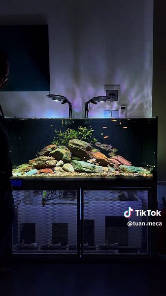 Đèn UFO Zetlight F8 Pro: Hiệu ứng ánh sáng tuyệt vời