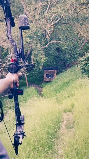 30 yards with PSE stinger, 50 lbs, 29” victory arrow #archery