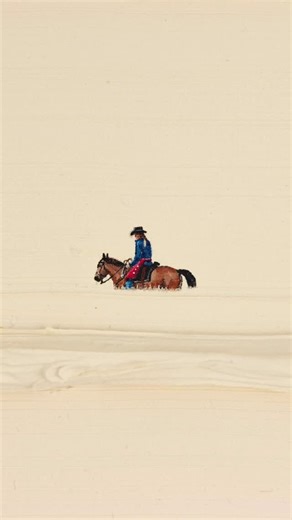 Werner Bronkhorst on Instagram: "‘Lone Rider’ I tend to avoid painting animals as my focus is mainly on our human interaction with the abstract world but horses feature in five seperate artworks in this ‘CRACK’ collection. They’re highly intelligent and emotionally in tune animals that have helped humans conquer territories and travel the world. In this artwork though, there is an intimate connection between this cowgirl and her horse as they’re making their way through what seems like a wheatgr