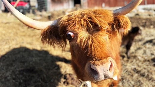 13 questions to ask before starting your farm