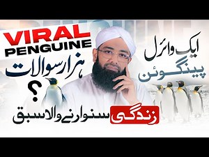 Why This Penguin Left Its Group | A Viral Video With Deep Human Lessons | Soban Attari