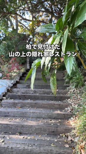 高台から手賀沼を一望できるロケーションが素敵で、ゆっくりとした時間を過ごせる隠れ家カフェ ワンちゃん連れでの来店も可能！ ここのお店は自家製のバーベキュープルドポークやレアのハンバーグなど肉系の料理が人気！ レアハンバーグにはパン粉や玉ねぎなどのつなぎは使用しておらず、肉本来の旨味を堪能できます！ ここのテラスではBBQも楽しめるので、天気の良い日に友人とBBQも最高かと♪ ～頼んだ品～ ・BBQプルドポーク丼 1,480円 ・レアハンバーグ1,400円 店名：GLOBAR 📍千葉県柏市鷲野谷 🚃東我孫子駅より車で11分 ⏰9:00〜18:00 🗓️不定休 🚙駐車場あり ------------------ ※情報は撮影時のものになりますので、現在は変わっている可能性もございます。その点はご了承ください。 -------------------- #千葉グルメ #柏グルメ #柏ランチ #柏カフェ