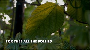 1. My Jesus I love Thee, I know Thou art mine; For Thee all the follies of sin I resign; My gracious Redeemer, my Saviour art Thou; If ever I loved Thee, my Jesus 'tis now. . . 2. I love Thee because Thou hast first loved me, And purchased my pardon on Calvary’s tree; I love Thee for wearing the thorns on Thy brow; If ever I loved Thee, my Jesus, ’tis now. . . 3. I’ll love Thee in life, I will love Thee in death, And praise Thee as long as Thou lendest me breath; And say when the death dew lies 