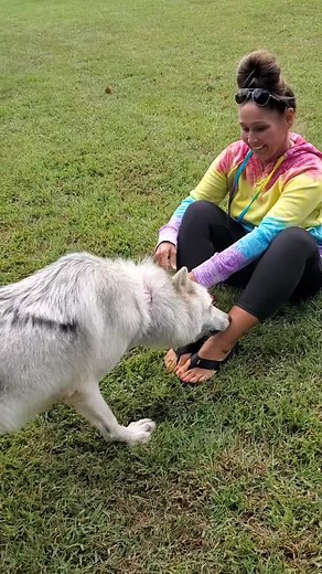 Dispelling the Myth: Wolf Meet and Greet