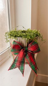 It’s the perfect time to give—and save! Our Black Friday Cyber Savings Event brings you free shipping and up to 40% off all holiday gifts when you use code WRAPITUP at checkout. | Jackson & Perkins