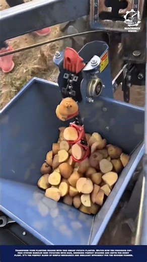 Smart Potato Planting Machine Innovation with Mechanical Cup-Feed System for Efficient Seeding
