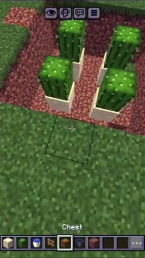 this is the easiest cactus farm in Minecraft #minecraft #farm#Dancin#batidao