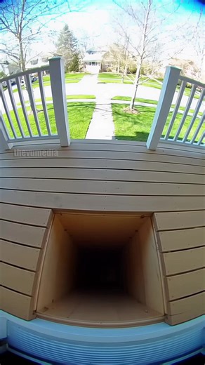 Hilarious Traps For Package Thieves! #thief #trap #package | The Vu Club