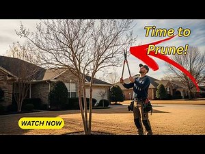 Don't Butcher Them! Here's How to Prune Crepe Myrtles the RIGHT Way