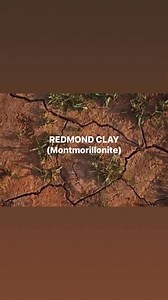 REDMOND CLAY (Montmorillonite) From old times, the human kind has used clays, externally or internally, for maintaining body health or treating some diseases. Meanwhile there are few scientific articles reviewing the beneficial effects of clays on body function. Bentonite clay is one of the available clays in nature, used as traditional habits, and remedies in many cultures Redmond Clay is (Montmorillonite) is a soft, naturally occurring clay mineral with many uses, including drug delivery, food