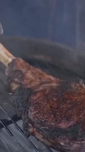 How to Use a Wireless Meat Thermometer for Steak Perfection!