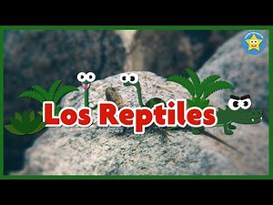 REPTILES para niños - Videos Aprende