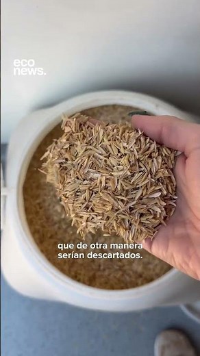 Mushroom-based packaging to prevent pollution 😮