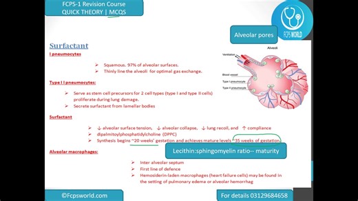 7.7K views · 15 reactions | *Last Days Revision Course FCPS August2025* [most famous course] -> August2025 *guess papers PDF* -> 7 days (All Systems) [cvs, neuroanatomy, endocrine etc] -> Theory + Past papers -> recordings 24x7 -> daily test coupon FEE: 1200rs (No extra Charges) EasyPaisa 03129684658 or Bank name: Allied Bank Name: Muhammad Abdullah Account # 1065 0010042416720019 Branch cod: 1065 IBAN: PK30ABPA0010042416720019 | Fcps World | Facebook