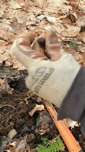 Short #222 - Tiny Find, metal detecting, Nokta Makro Simplex. #metaldetecting