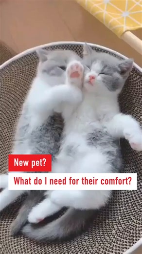 Just brought home a new furry friend? Congratulations! It’s such an exciting time, but we understand it can also feel a bit overwhelming. You want to give them the best care, but you might not know where to start—that’s completely normal! Here’s a quick checklist to help you feel confident: ✅ Age specific nutrition: Choose a balance diet specific to your puppy or kittens growing bodies and minds, to support their health from the start. ✅ Comfortable Space: Create a safe, cozy spot for them to re