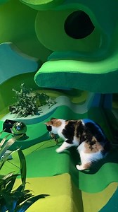 The Columbia University School of the Arts’ Digital Storytelling Lab...