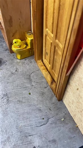 How to Cook Fish: Tips and Tricks for Perfect Fillets