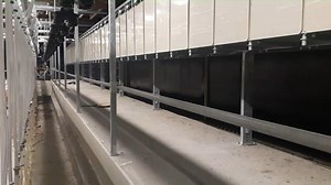 GEA Swing Over Sheep Herringbone with rapid exit