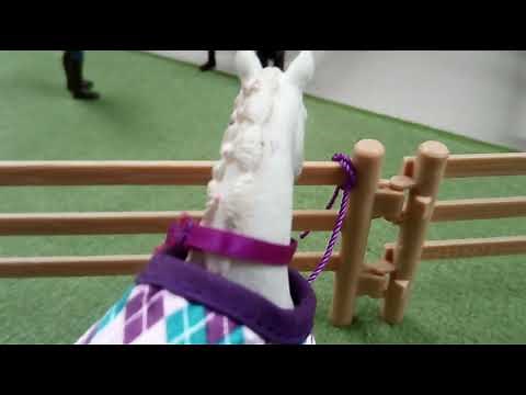 Schleich Film: Das ungewöhnliche Turnierpferd