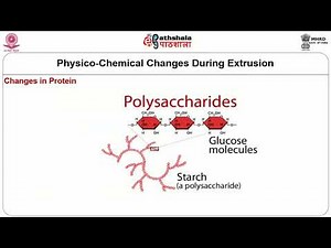 Extruders – Principles and Factors Affecting the Process