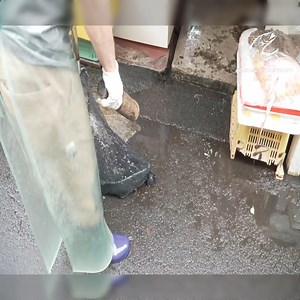 13K views · 148 reactions | How to cut live goldfish | Korean Street FOOD | Facebook