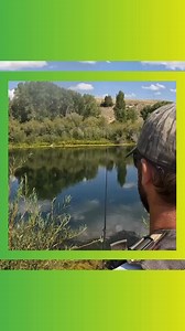 When fishing a Trout Magnet in a lake, sometimes less is more. You would think that since there’s no current moving it is always the right call, but that’s not always the case. | Trout Magnet