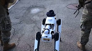 China’s Robot Dogs Are Armed: The Sci-Fi Nightmare Weapon is Here (US Congress Sounds Alarm)