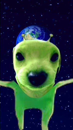 alien dog #humor #xd #memes