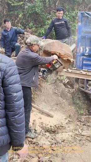 Electric Saw Tree Trimming Hack