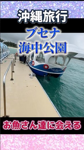 沖縄旅行【ブセナ海中公園】子連れで行ってきました！爆風の中で見れるか心配でしたがグラスボートからはたくさんのお魚さんたちを見ることが出来ました！海中展望台からはほとんど見れず。魚の餌やりは楽しかった！