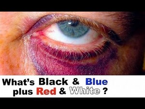 1969-1979 Corvette Heater Climate Control Hoses