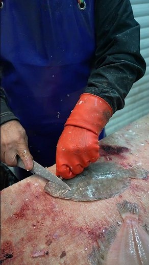 STOP Ruining Your Fish! Master Skinning Like a PRO in 60 Seconds. ⏱️