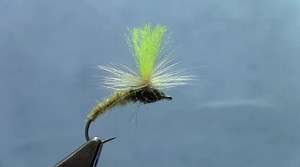 Klinkhamer Special | Fly Tyer