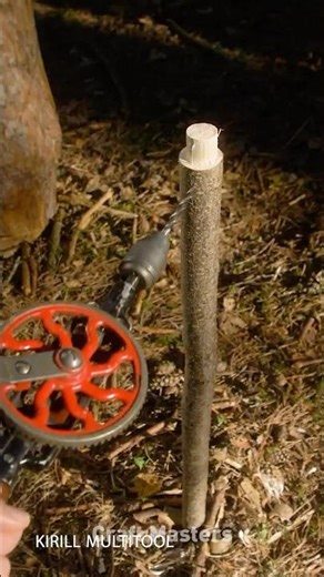 Smart DIY Trick for a Waterproof Wooden Organizer! 🔥🪵 #wood #shorts