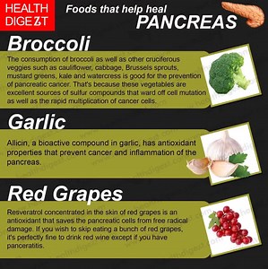 Foods that Helps Heal Pancreas | Health Digest