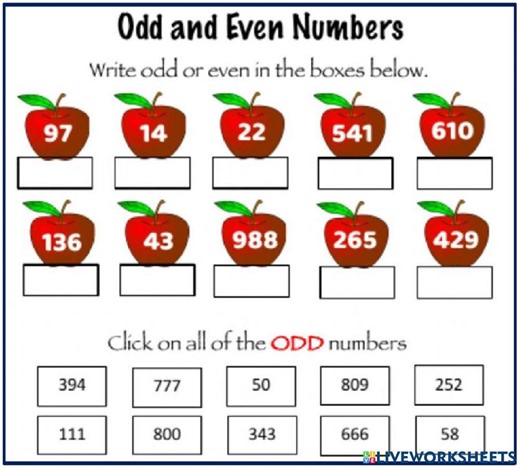 Odd and Even Number - Grade 2 IHS worksheet