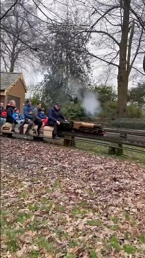 Mini Steam Train