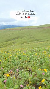 Heaven | 🙏❤️ | Padam Bahadur Singh