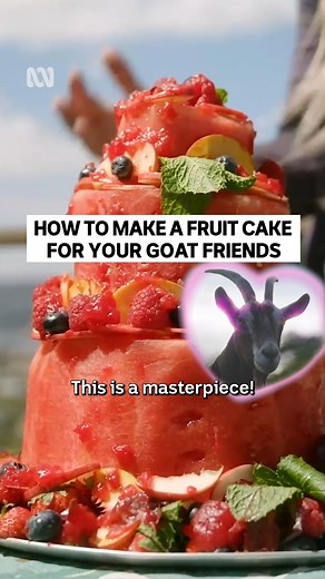 Now THIS is a fruit cake! 🍉🍎🫐 Here’s how to make one of the best treats for your furry goat friends - or if you don't have goats, for you! #GardeningAustraliaJr 🍓🍊🍋 | ABC Kids Community