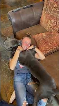 Beautiful woman with two dogs