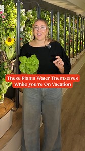 201K views · 6.4K reactions | Vacation Mode: one of the best features of Gardyn! It can adjust lights and water automatically while you’re away! Kelby, the AI assistant handles all of it for you, and there’s fresh greens waiting for you when you return! | Gardyn | Facebook