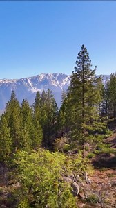 A drone tour of Sequoia National Park in California